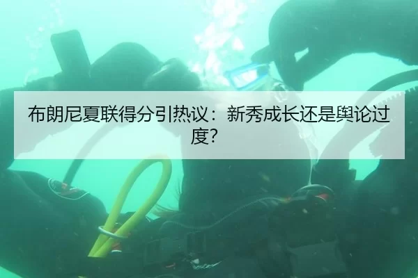 布朗尼夏联得分引热议：新秀成长还是舆论过度？
