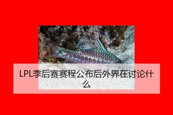 ji-hou-sai-sai-cheng-gong-bu-hou-wai-jie-zai-tao-lun-shen-me-2-453.jpg