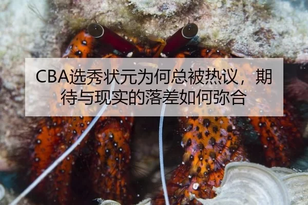 CBA选秀状元为何总被热议，期待与现实的落差如何弥合